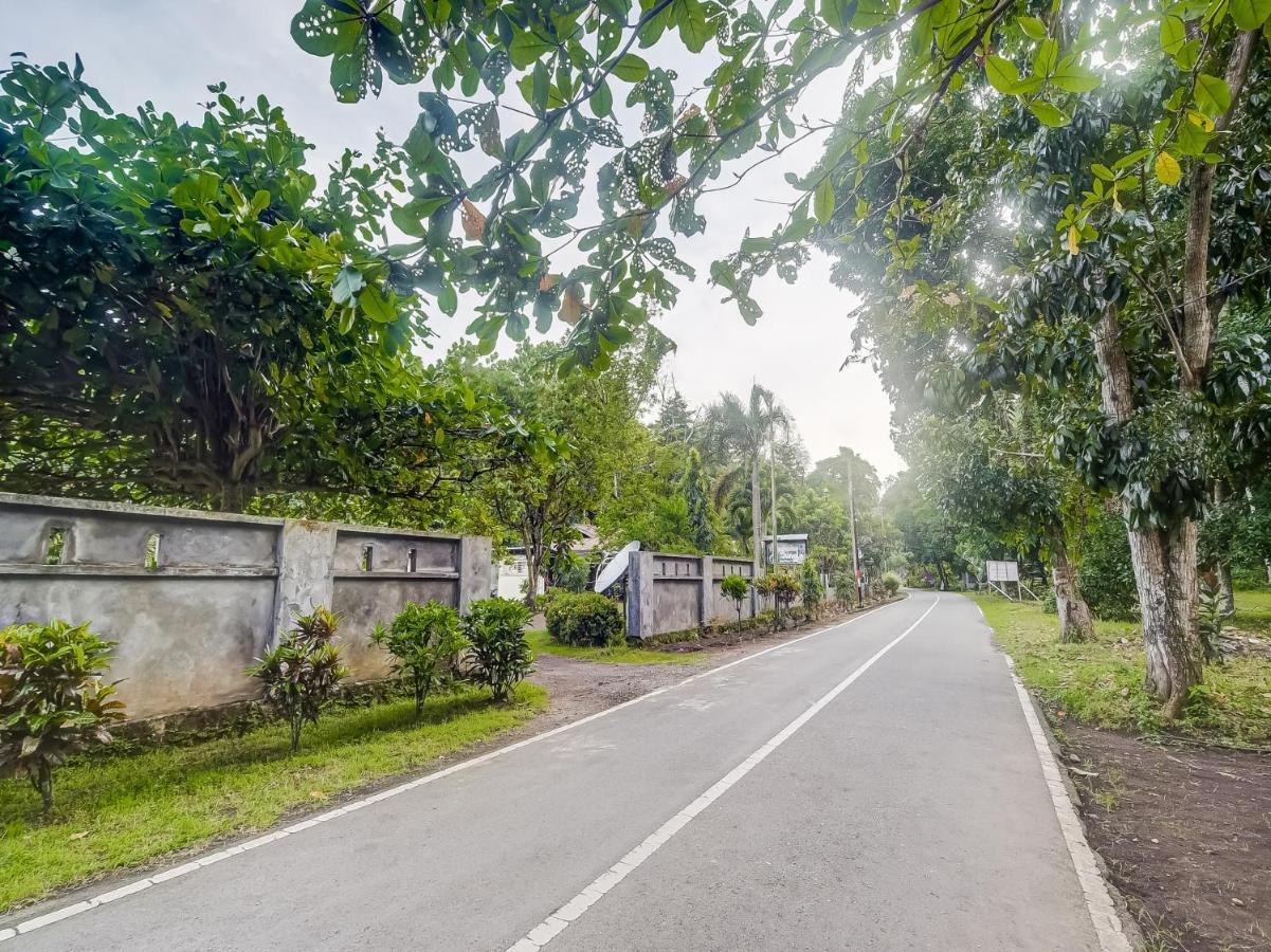 Oyo 90988 Tangkoko Jungle Homestay Rinondoran 外观 照片