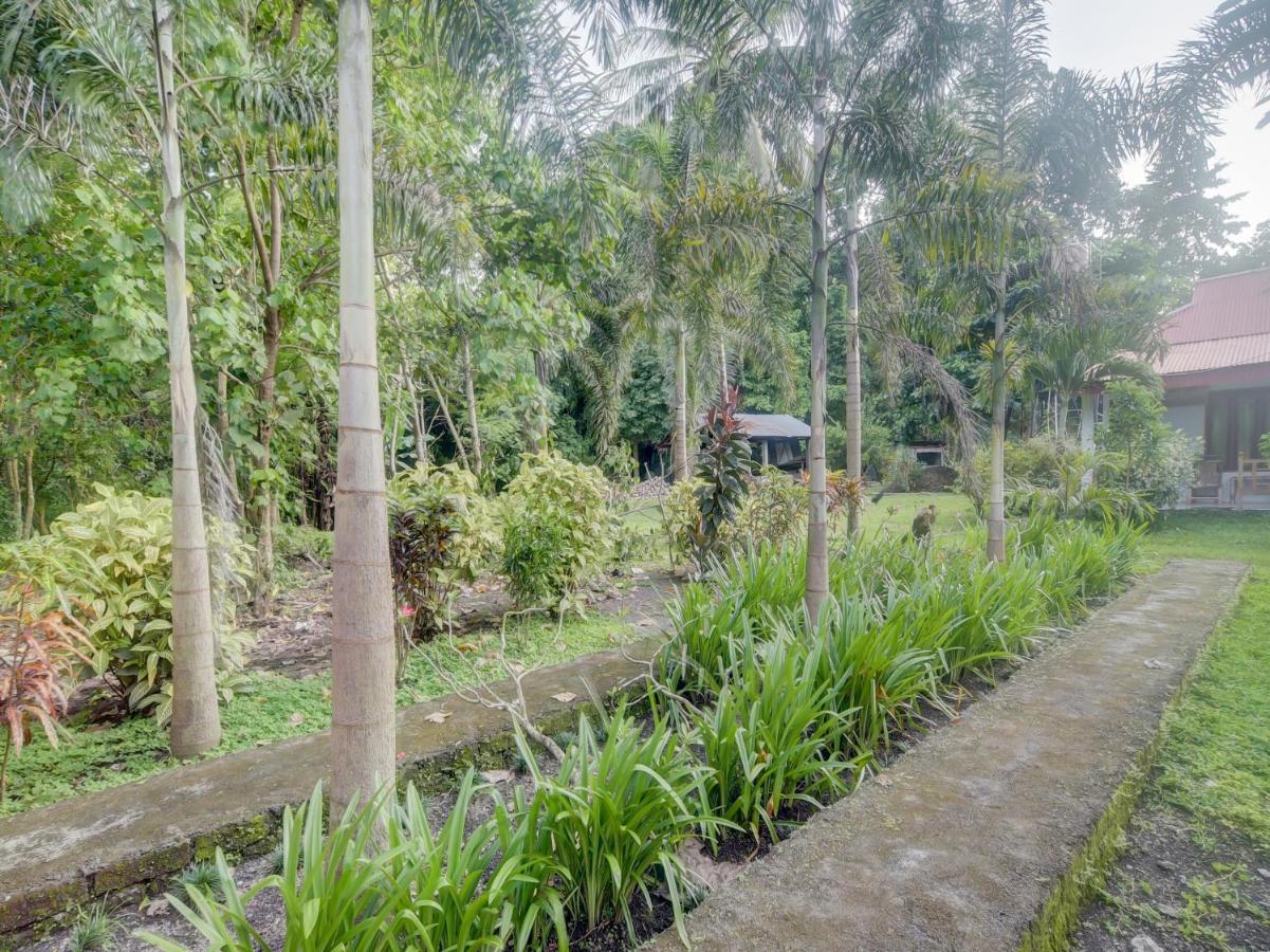 Oyo 90988 Tangkoko Jungle Homestay Rinondoran 外观 照片
