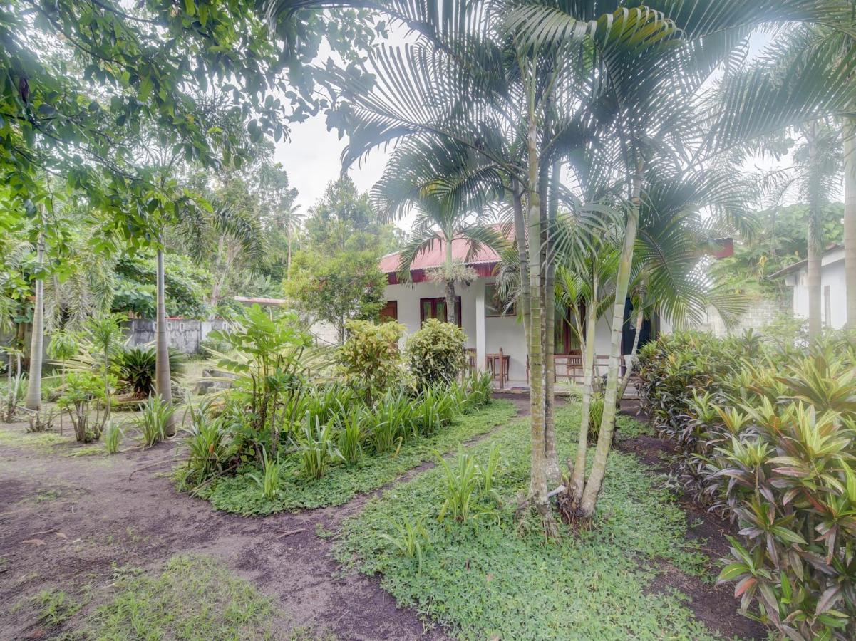 Oyo 90988 Tangkoko Jungle Homestay Rinondoran 外观 照片