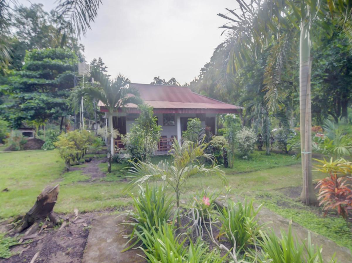 Oyo 90988 Tangkoko Jungle Homestay Rinondoran 外观 照片